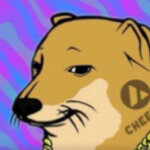 jayfouronesix